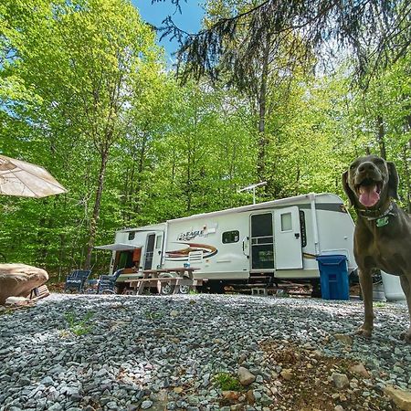 Rv Adventure Roscoe Pet Friendly Hotel Luaran gambar
