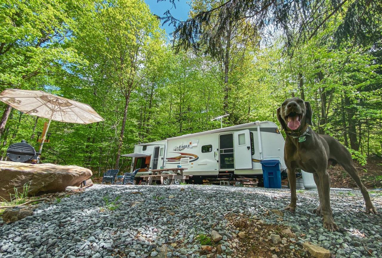 Rv Adventure Roscoe Pet Friendly Hotel Luaran gambar